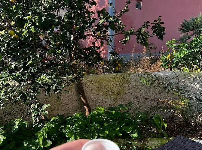 Casa de hóspedes Vesuviano Ercolano